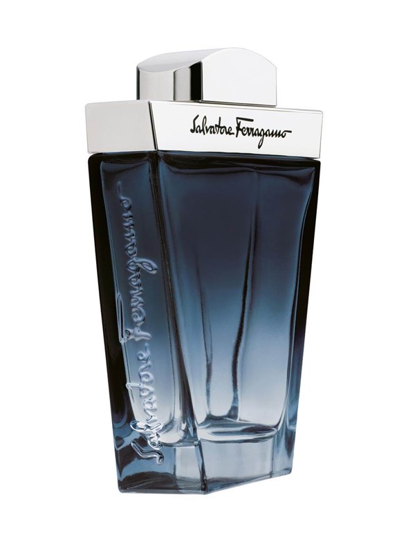 Salvatore Ferragamo Subtil 100 ml