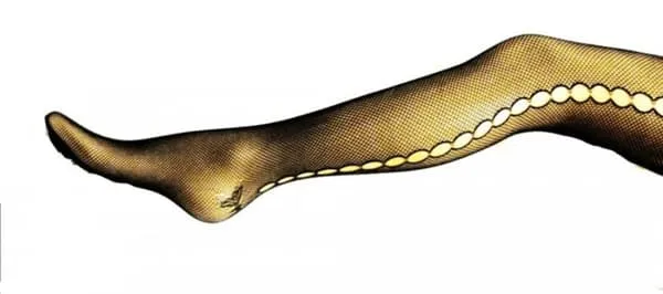 Tights - Butterfly