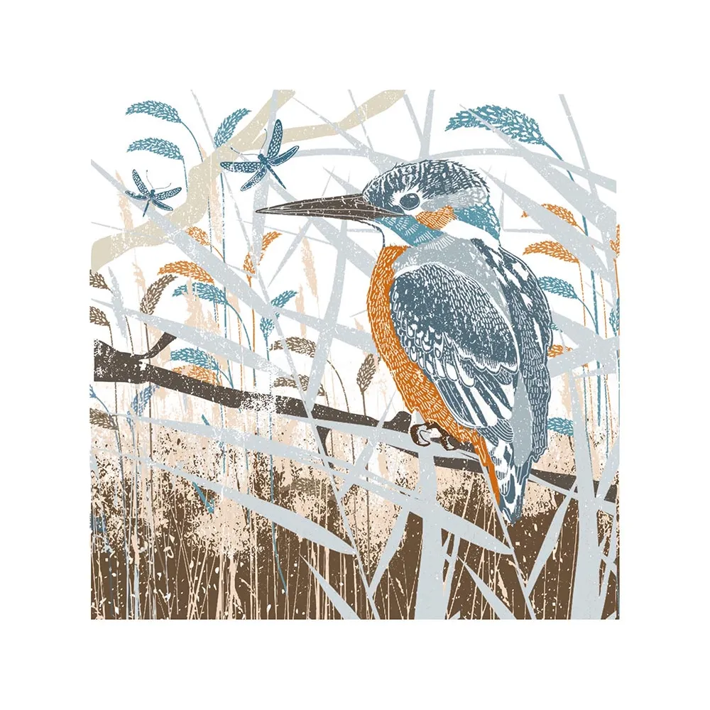 Summer Thornton Woodland Nature Kingfisher Print