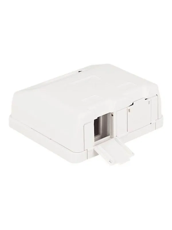 DeLOCK Keystone Surface Mounted Box