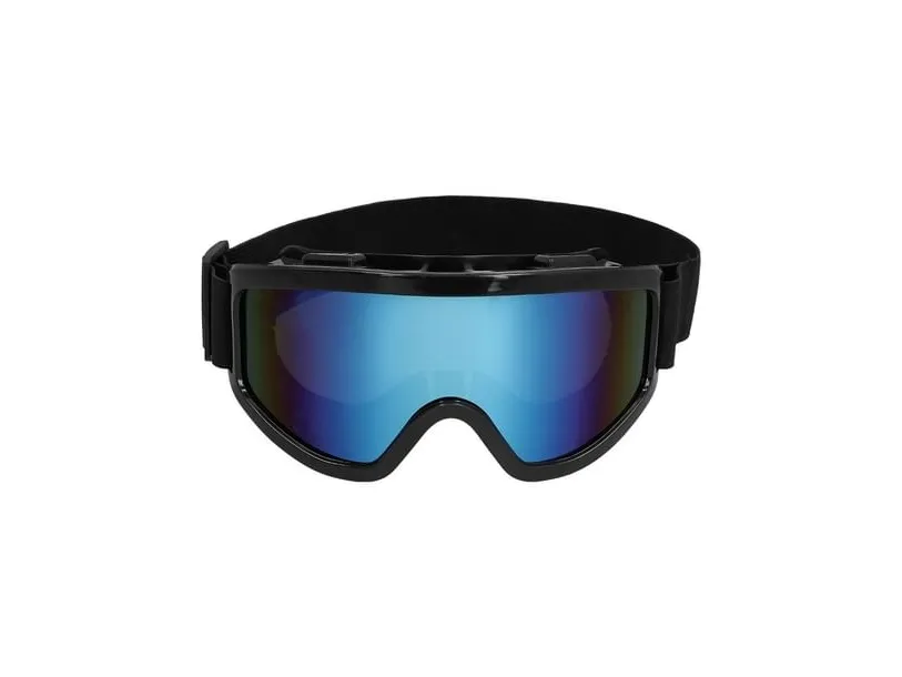 Sorte skibriller