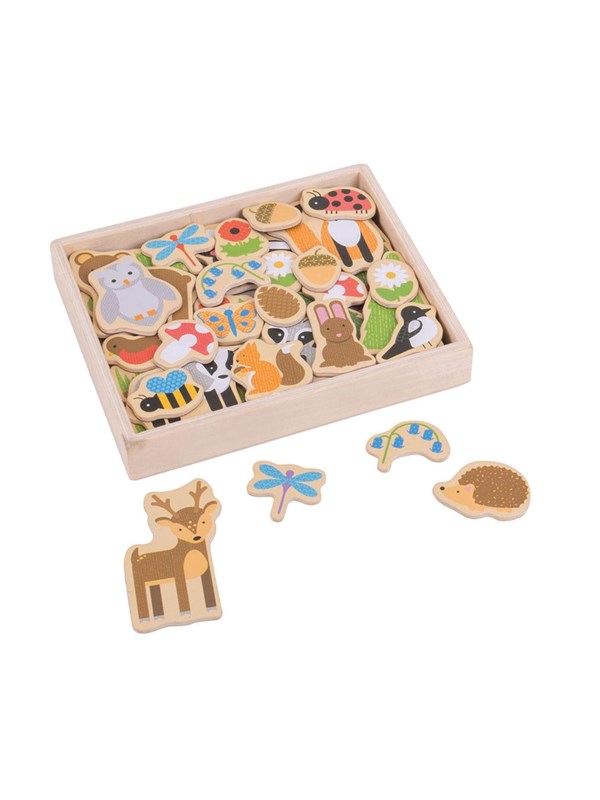 Bigjigs Wooden Magnets Bunch 35 pcs.