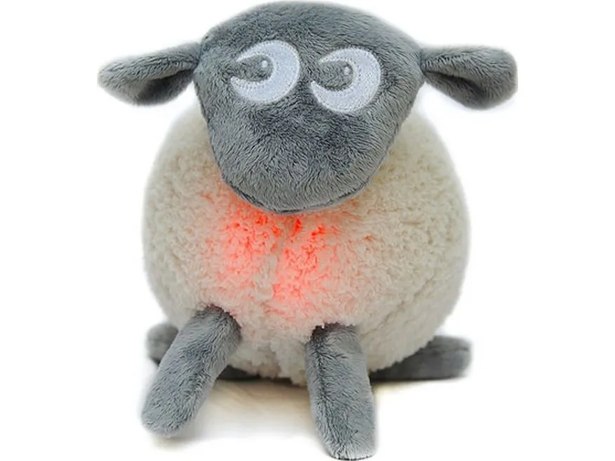 Ewan the Dream Sheep