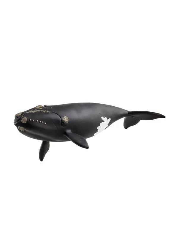 Schleich Wild Life North Atlantic Right Whale