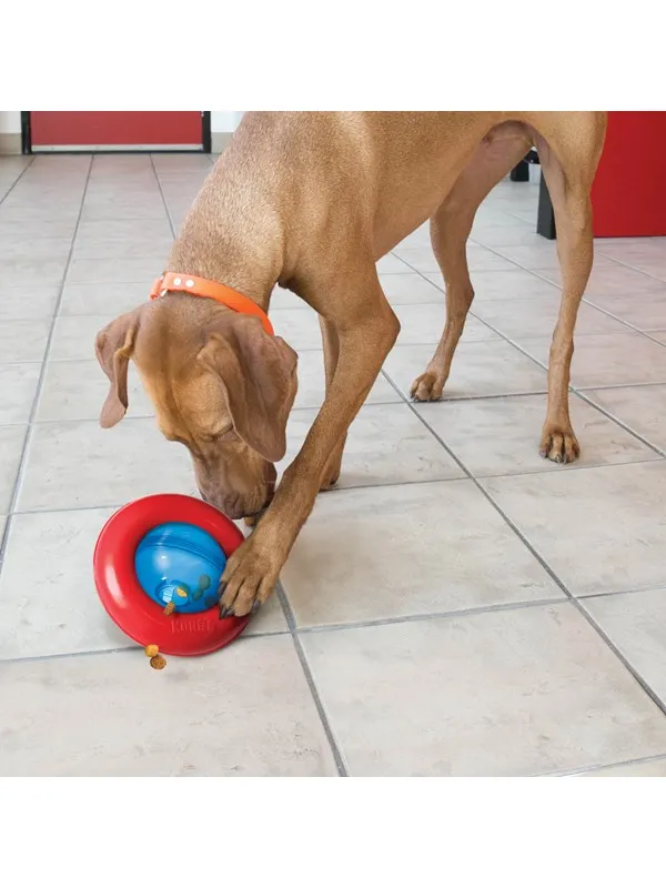 KONG Dog Toy Gyro Small 14cm