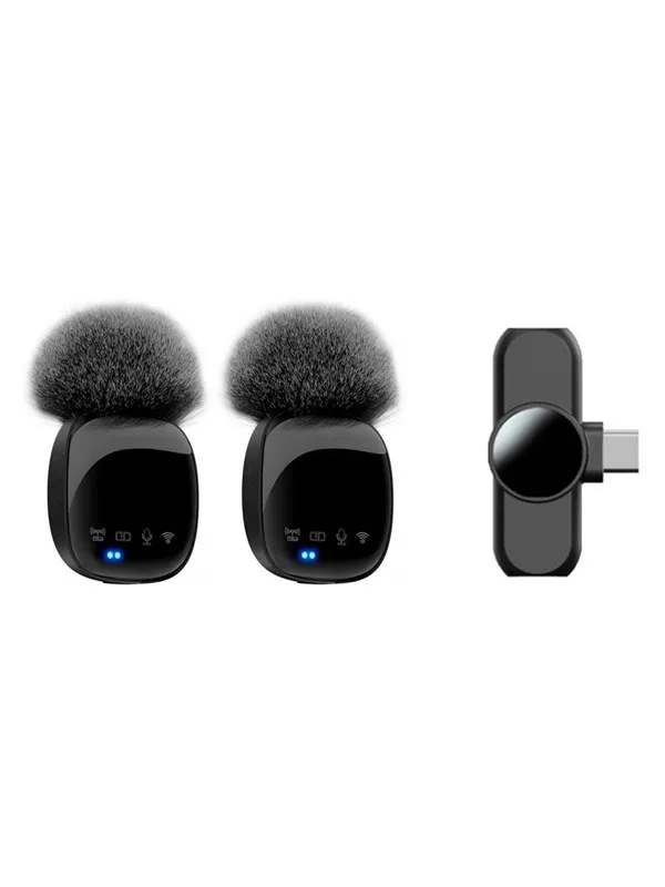 Lippa Dual Wireless Wind Protected Microphone With USB-C Connector