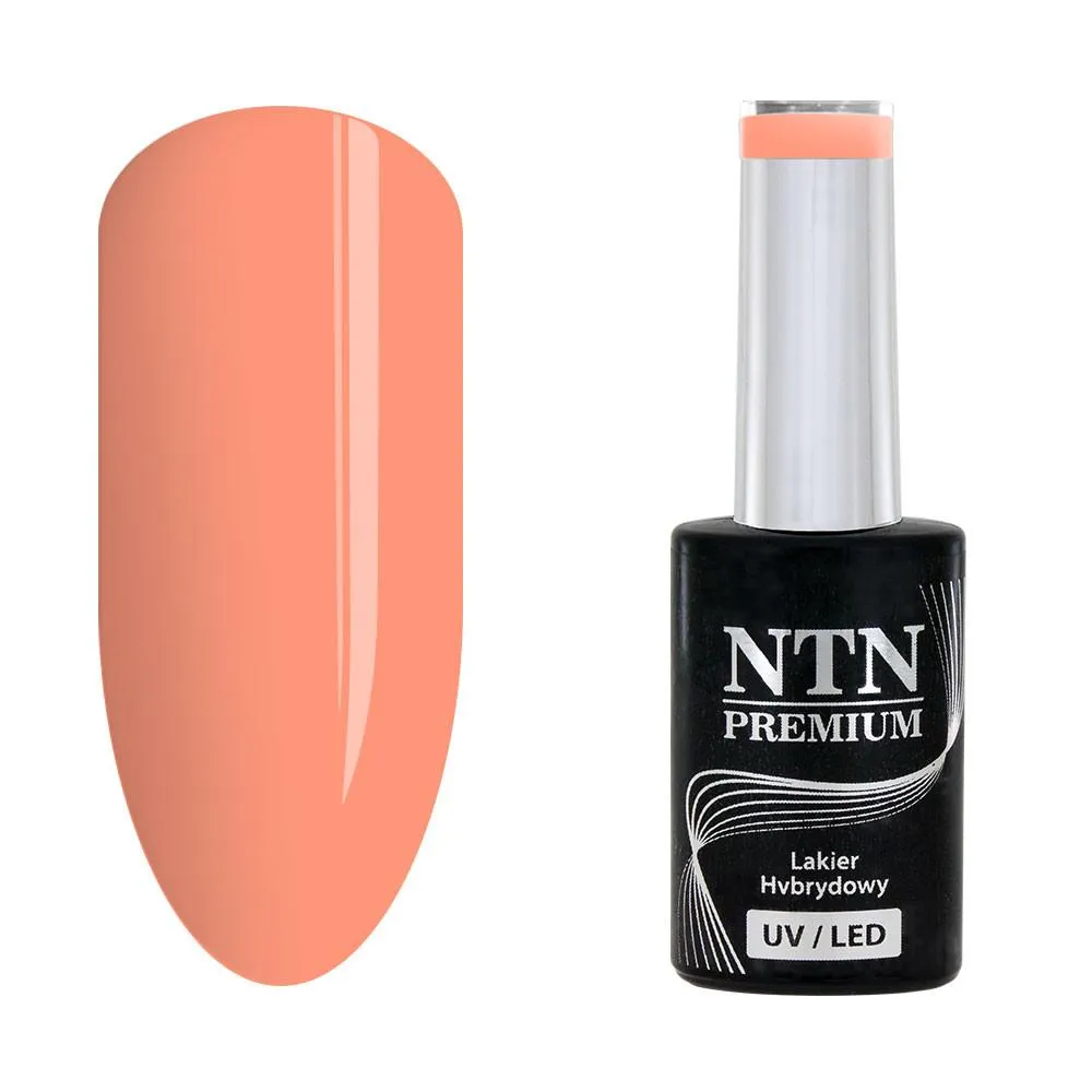 NTN Premium - Gelelakk - Delight Sorbet - Nr152 - 5g UV gel/LED
