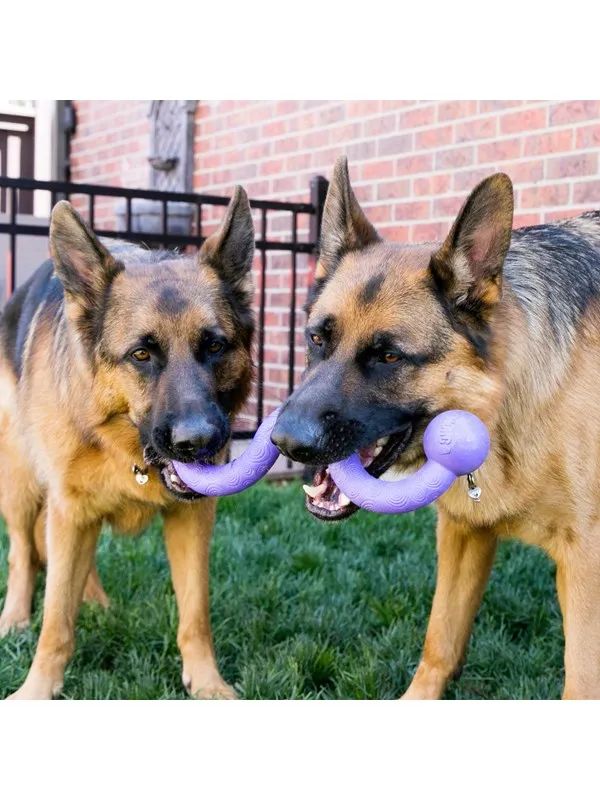 KONG Hundeleke Ogee Stick 30cm