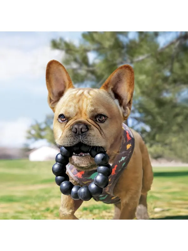 KONG Dog Toy Extreme Ring XL 13cm
