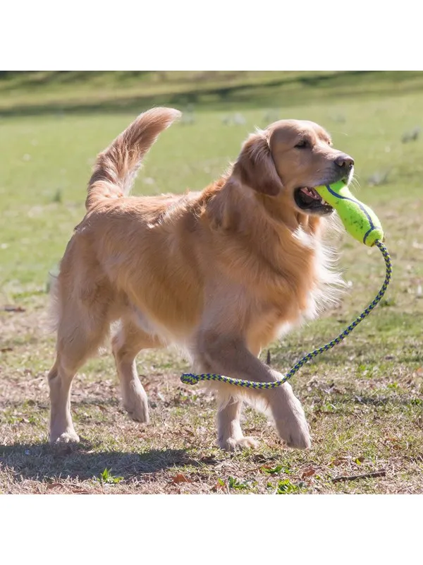 KONG Hundeleke Airdog Fetch Stick med Tau