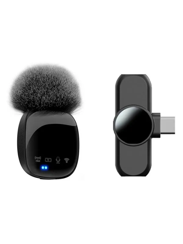 Lippa Wireless Wind Protected Microphone With USB-C Connector