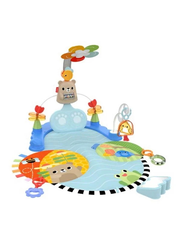 Fisher Price Fisher-Price HYR60 baby gym/play mat