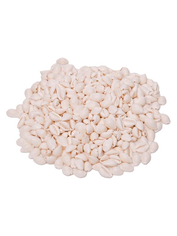 Colorations - Seashells Kauri 300g
