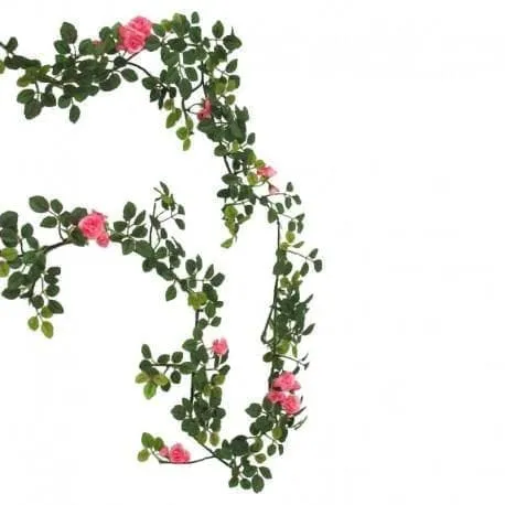 Rose Garland, rosa roser