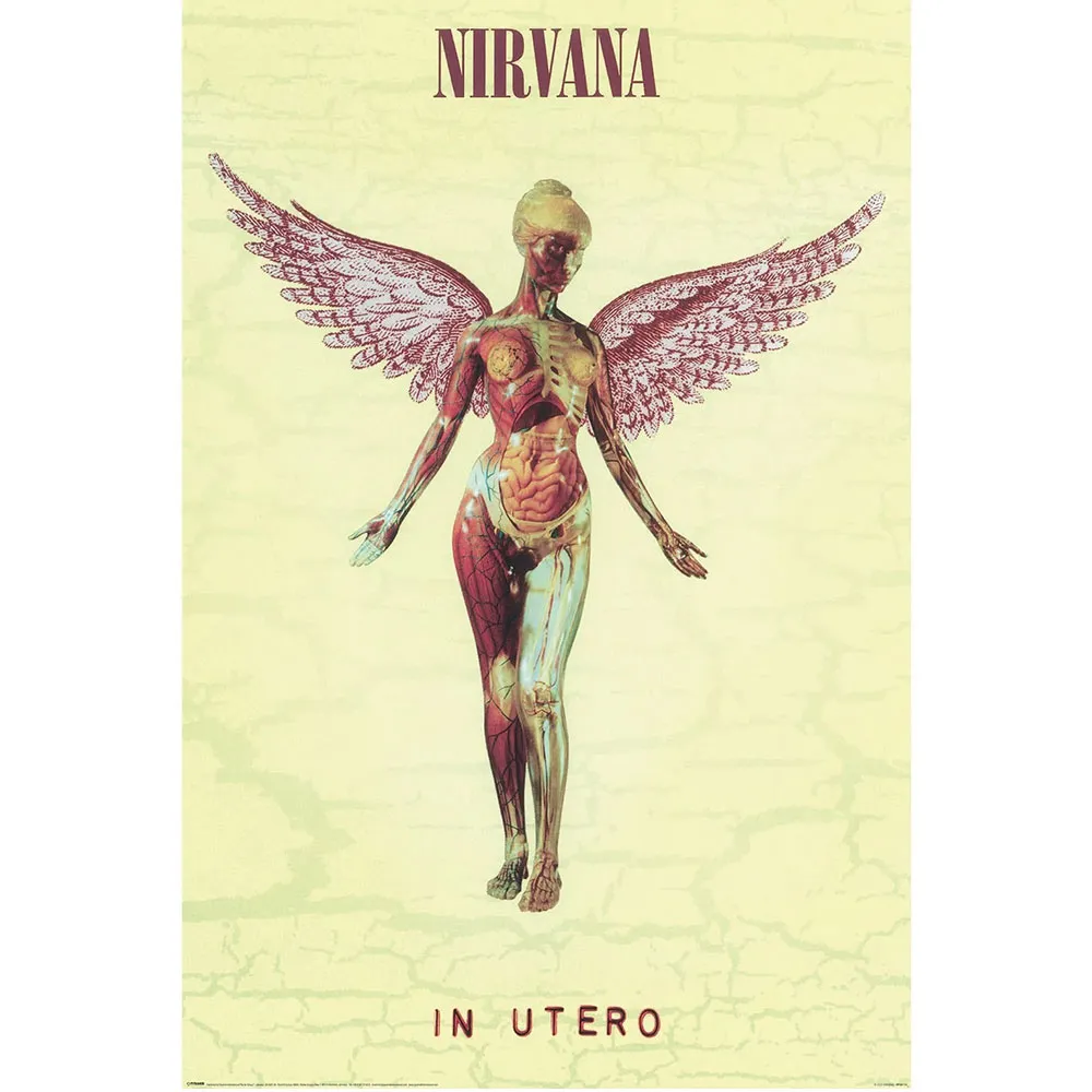 Nirvana In Utero Paper Poster