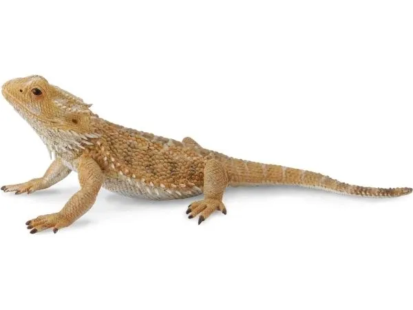 Collecta Lizard Dragon Figurine (004-88567)