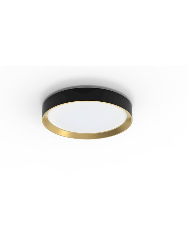 Philips Hanno ceiling SS RD 24W 27K B_G