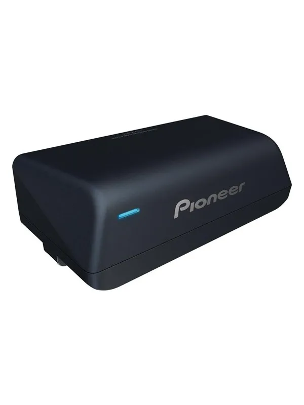 Pioneer TS-WX010A car subwoofer