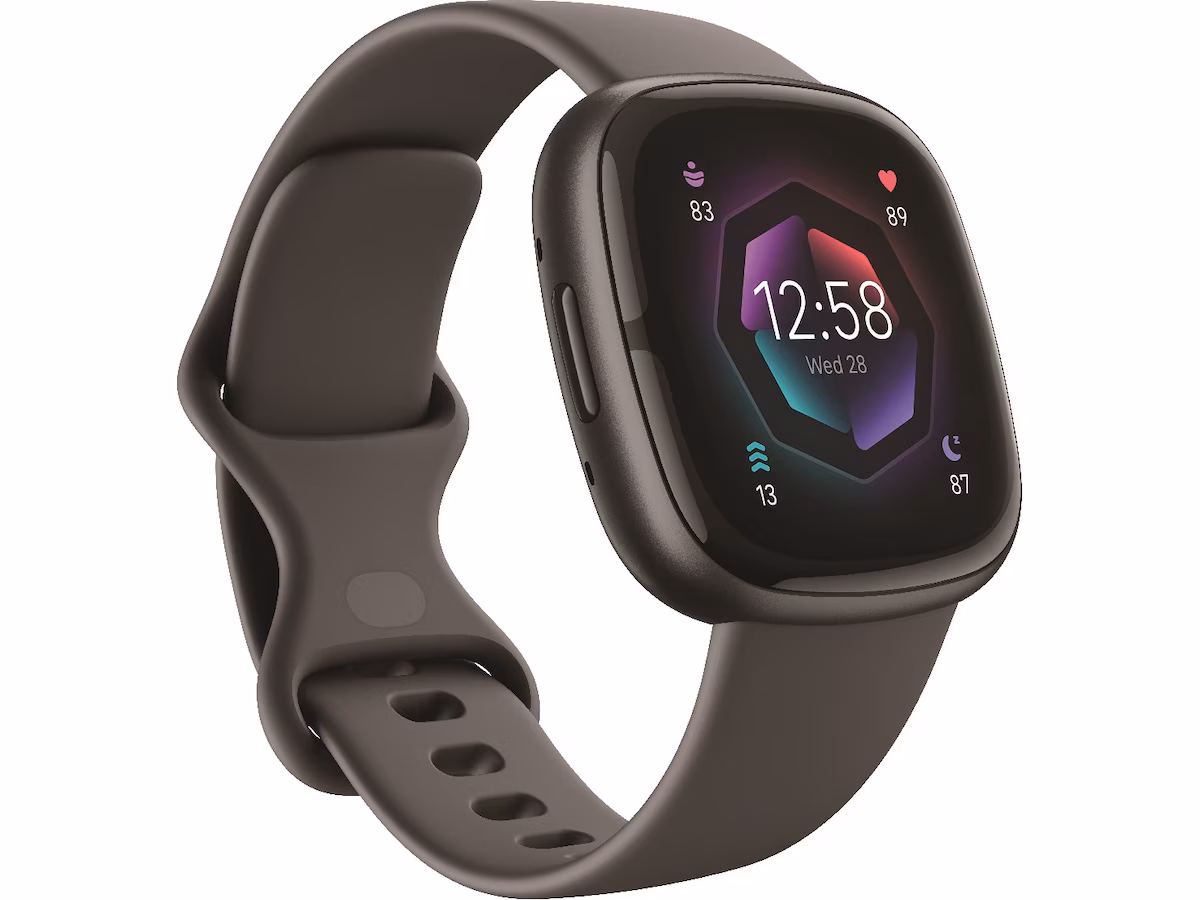 Fitbit Sense 2 Shadow (grå/grafitt)