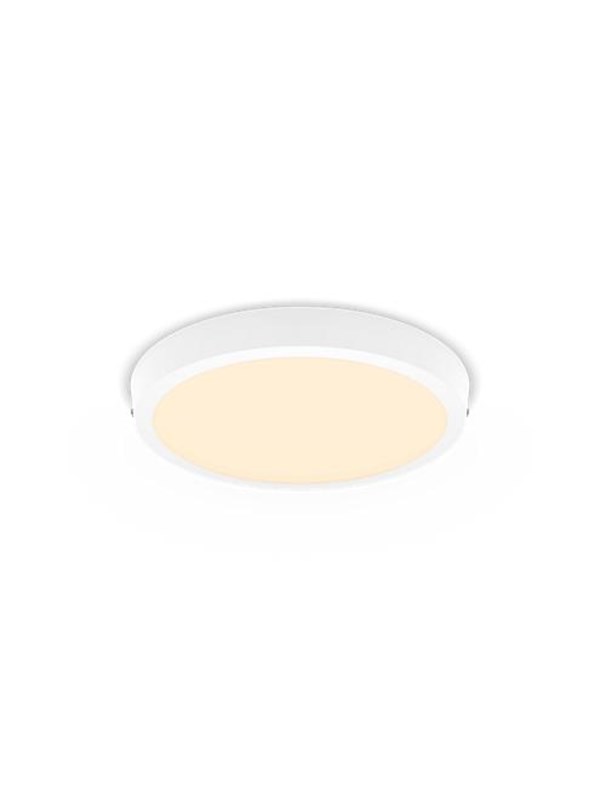 Philips MAGNEOS SF DL252 RD 284 20W 27K WH 06