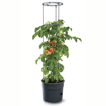 Tomatpotte for utendyrking 12 liter