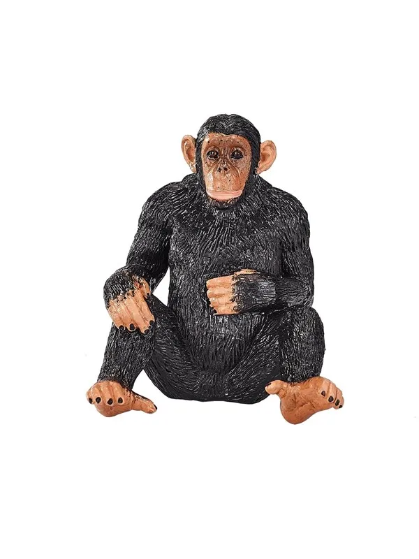 Mojo Wildlife Chimpanzee