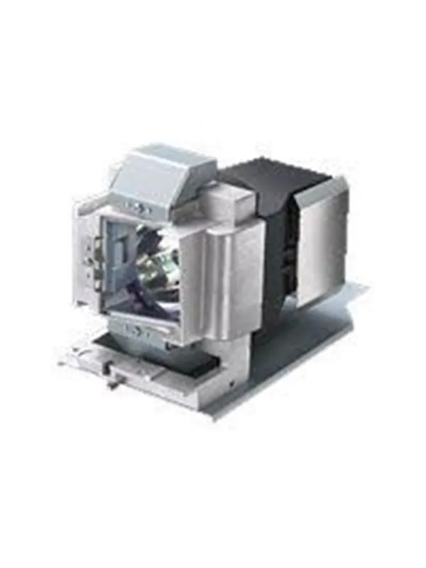 Vivitek projector lamp