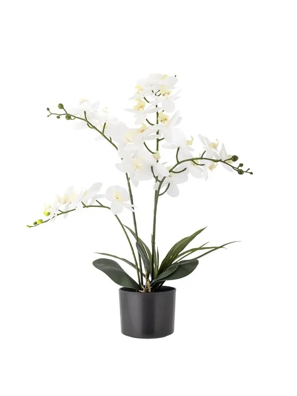 Bloomingville Orchid