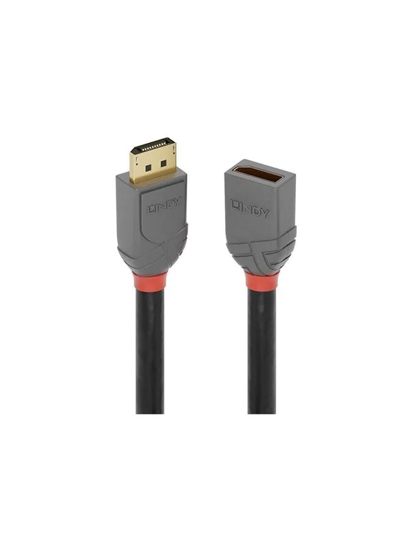 Lindy Anthra Line - DisplayPort extension cable - DisplayPort to DisplayPort - 50 cm