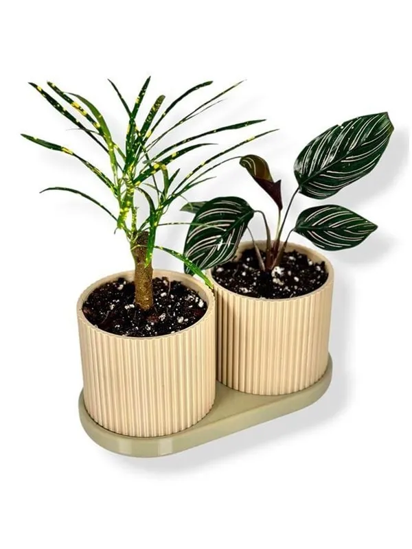 Simiu TWINDA - Double Planter in beige and light olive - 8.5cm