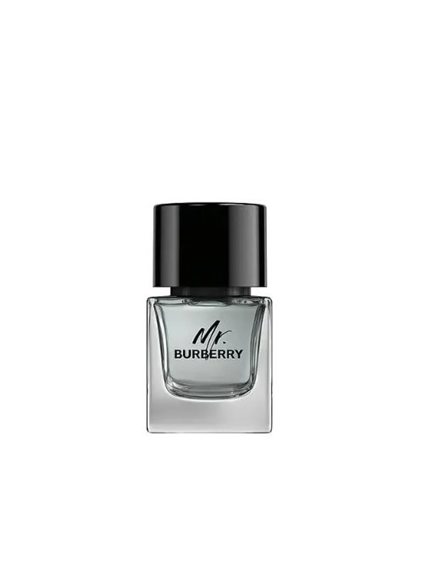 Burberry Mr  50ml EDT Spray