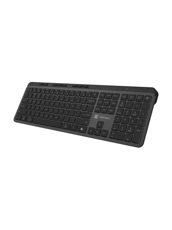 Natec MEDUSA - keyboard full size - QWERTY - US - black grey Input Device - Tastatur - Engelsk (USA) - Grå