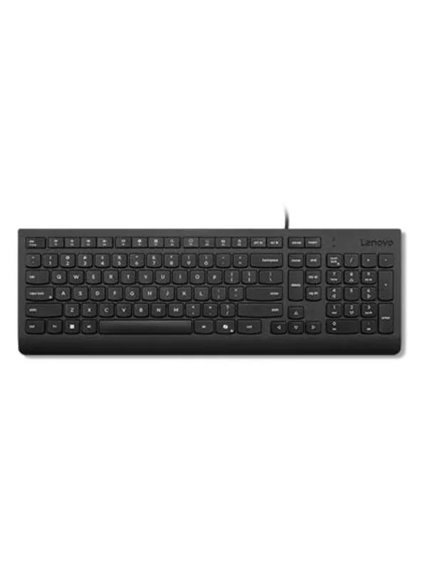 Lenovo Essential - keyboard - QWERTY - Danish - black Input Device - Tastatur - Dansk - Svart