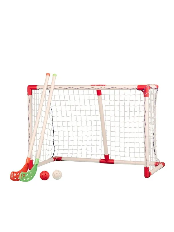 My Hood Hockey Goal