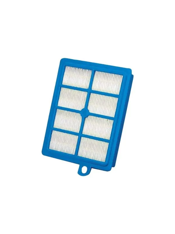 Electrolux S-filter EFS1W Allergie Plus