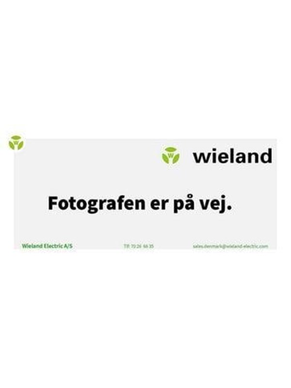 Wieland Rst25i3 plug male 3-pol 250v/32a 0.75-6mm2 ø=13-18mm grey