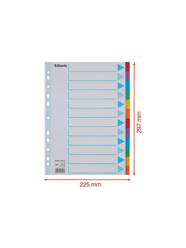 Esselte - divider - 12 parts - for A4 - tabbed