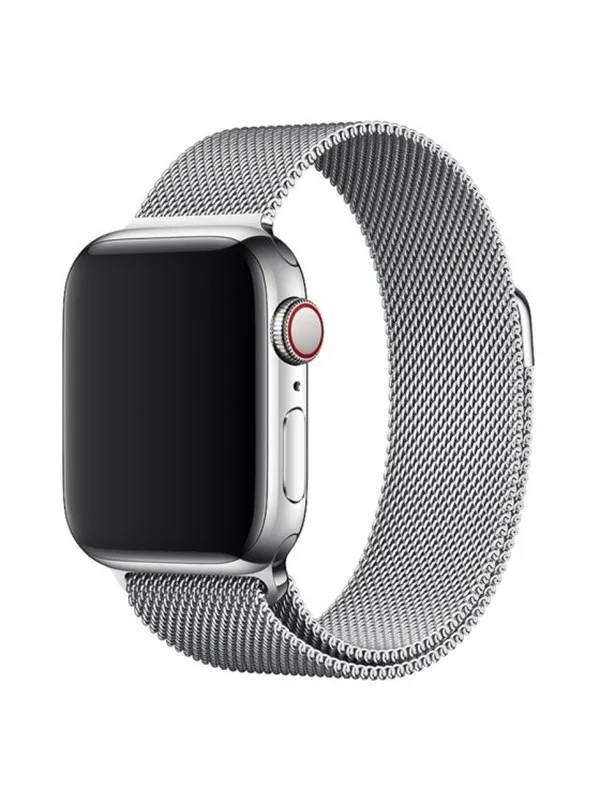Lippa Apple Watch Stainless Steel 38/40/41 - Silver