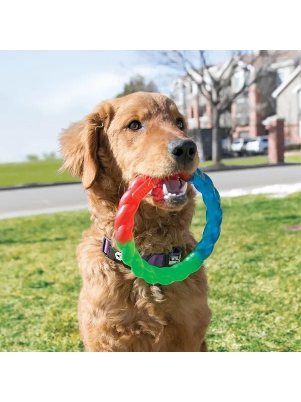 KONG Dog Toy Twistz Ring Small 17cm