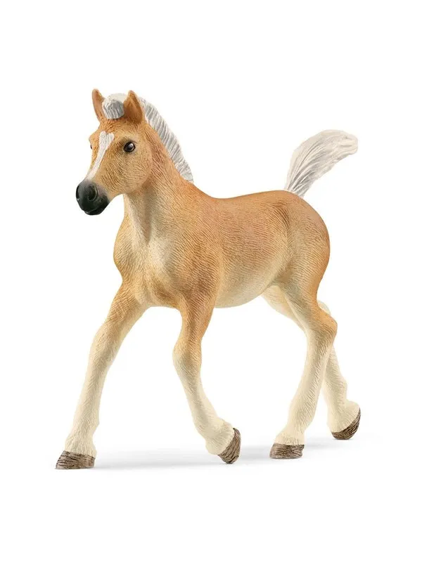 Schleich Haflinger føll