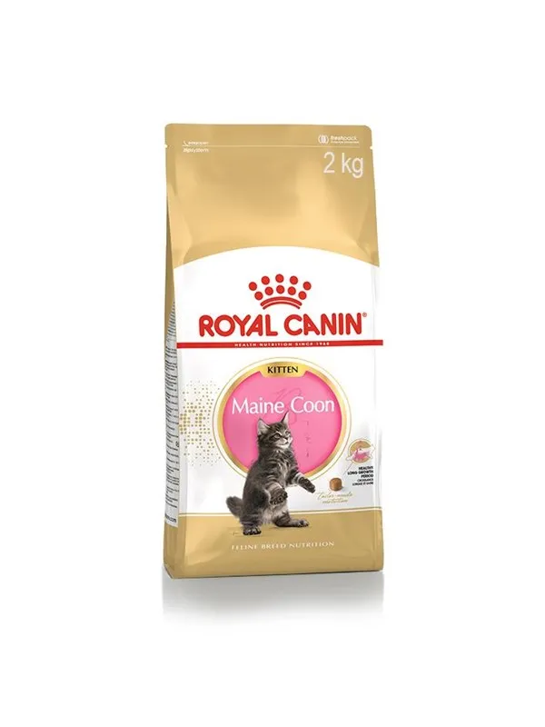 Royal Canin Maine Coon Kitten 2kg