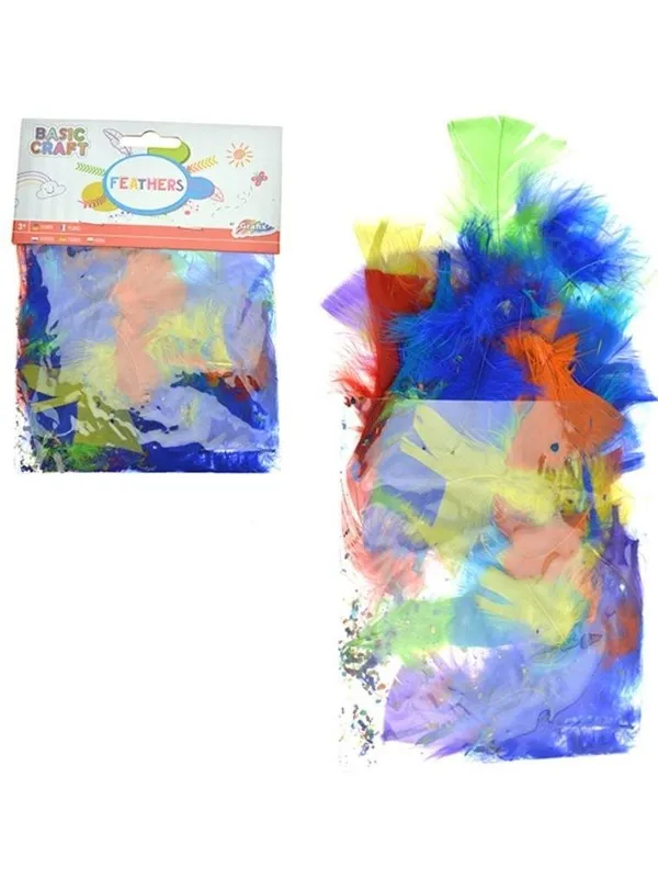 Creative Craft Group Feathers 60 pieces in different colors