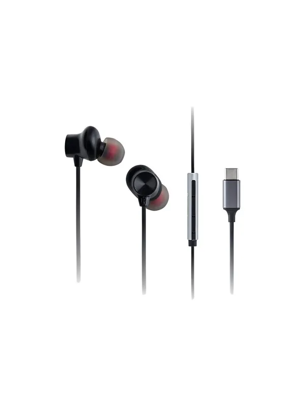 Panasonic RP-TCM225 - earphones with mic - USB-C