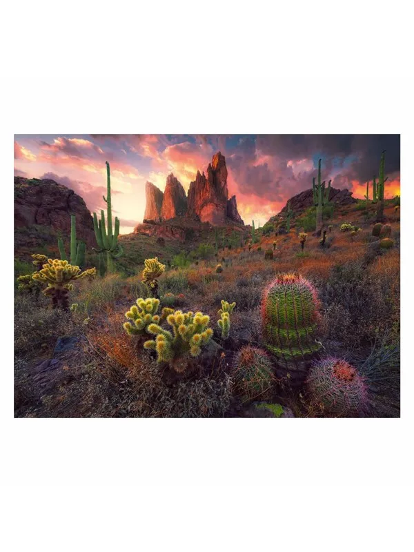 Ravensburger Jigsaw puzzle Cactus 500 pcs. Gulv