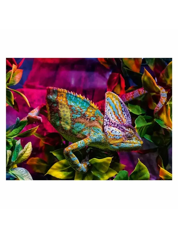 Ravensburger Jigsaw puzzle Colorful Animals Chameleon 500 pcs. Gulv