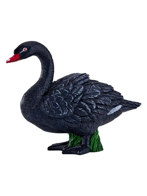 Mojo Farmland Black Swan
