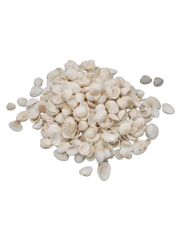 Colorations - Small Ark Shells 500 grams