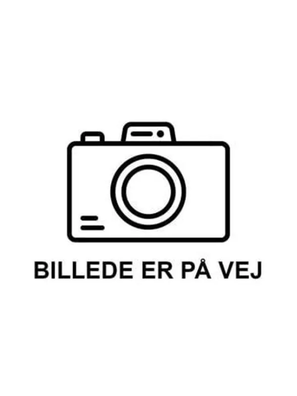 P.A.Kierulff [447023003]