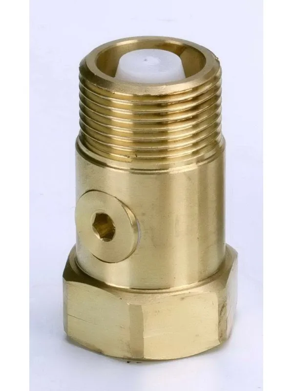 JCH Extension niple with controllable check valve