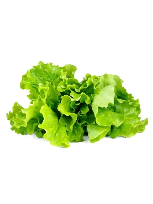 Click & Grow Click and Grow - Smart Garden Refill 3-pack - Green Lettuce (SGR32X3)